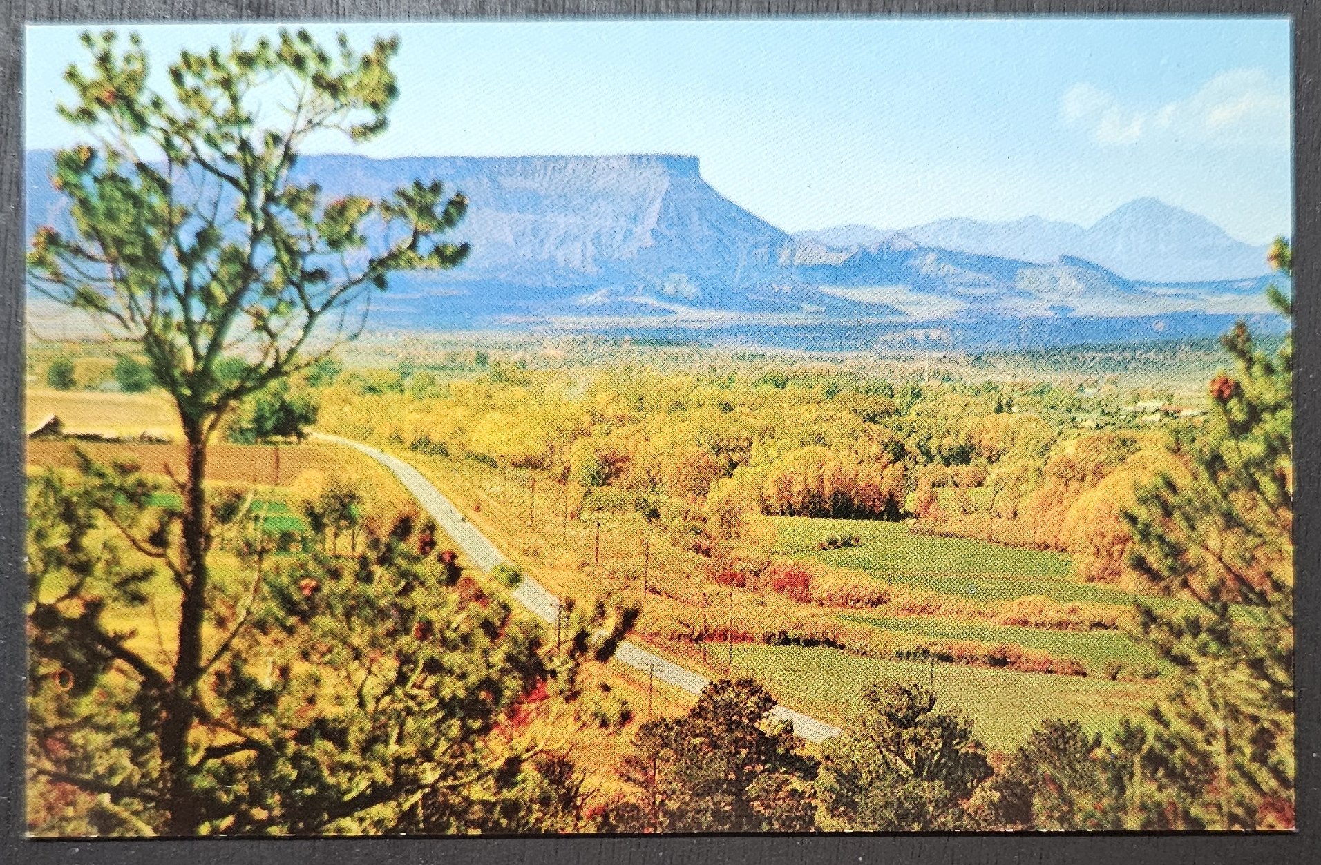 (image for) postcard USA - AZ - Arizona #0012